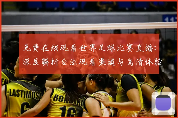 免费在线观看世界足球比赛直播:深度解析合法观看渠道与高清体验攻略