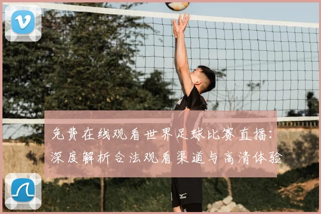 免费在线观看世界足球比赛直播:深度解析合法观看渠道与高清体验攻略
